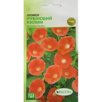 Іпомея Рубіновий килим Seedera зображення 17