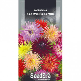 Жоржина Кактусова, суміш забарвлень Seedera зображення 13