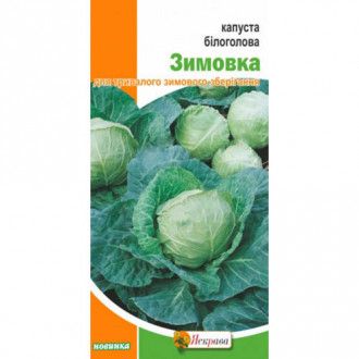 Капуста білокачанна Зимовка Яскрава зображення 1