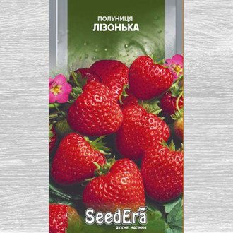 Клубника Лизонька рисунок 5