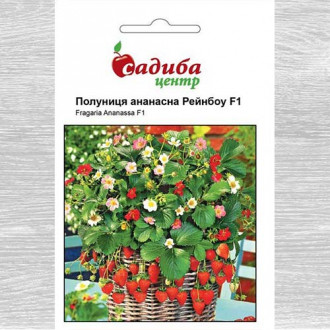 Полуниця Рейнбоу зображення 6