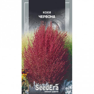Кохія червона Seedera зображення 2