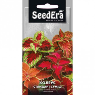 Колеус Стандарт, суміш забарвлень Seedera зображення 7