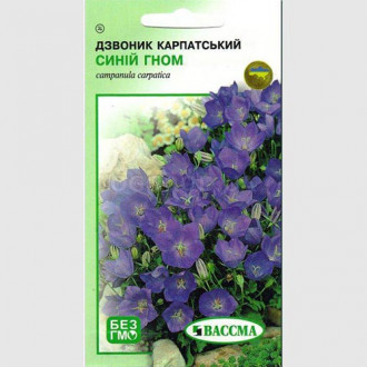 Дзвоник карпатський Синій гном Seedera зображення 15