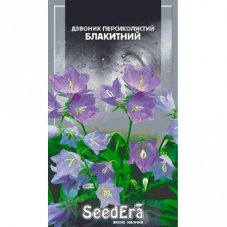 Дзвоник персиколистий блакитний Seedera зображення 3
