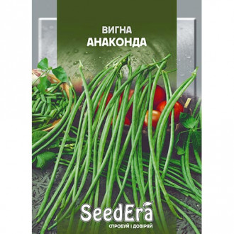 Вигна Анаконда Seedera рисунок 6