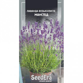 Лаванда Манстед Seedera зображення 16