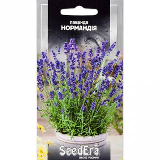 Лаванда Нормандія Seedera зображення 1