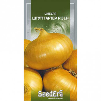 Лук репчатый Штутгартер Ризен Seedera рисунок 16