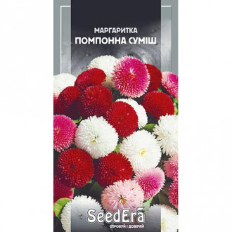 Маргаритка Помпонна, суміш забарвлень Seedera зображення 9