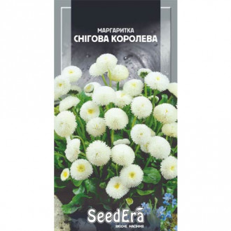 Маргаритка Снігова королева Seedera зображення 12