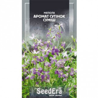 Матіола Аромат Сутінок Seedera зображення 2