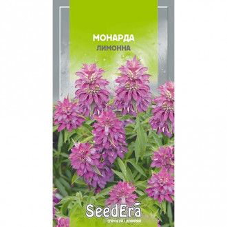 Монарда лимонна Seedera зображення 1