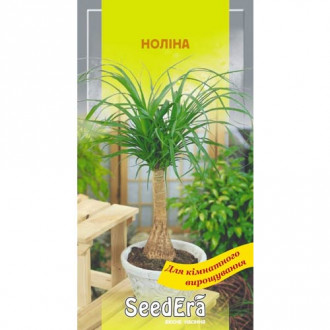 Ноліна Seedera зображення 9