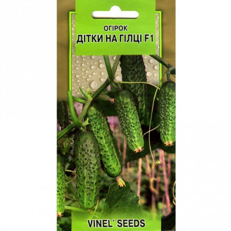Огірок Дітки на гілці F1 Vinel seeds зображення 4
