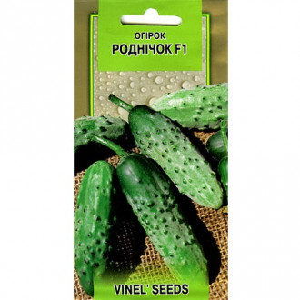 Огірок Роднічок F1 Vinel seeds зображення 8