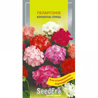 Пеларгонія кімнатна, суміш забарвлень Seedera зображення 6