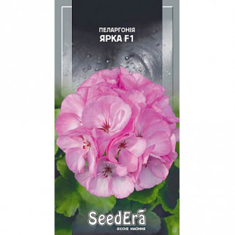 Пеларгонія Ярка F1 Seedera зображення 2