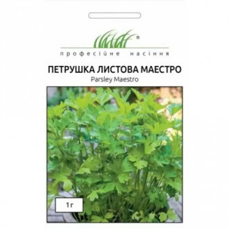 Петрушка листова Маестро Професійне насіння зображення 2