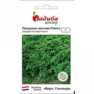 Петрушка листова Ріалто Садиба центр зображення 3