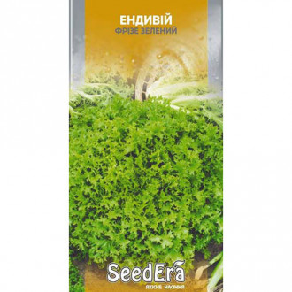 Салат Ендівій зелений Seedera зображення 8