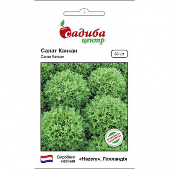 Салат листовий Канкан Садиба центр зображення 5