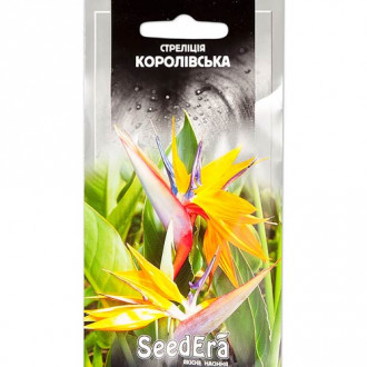 Стреліція королівська Seedera зображення 2