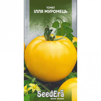 Томат Илья Муромец Seedera рисунок 12