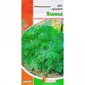 Кріп Ялинка Яскрава зображення 6