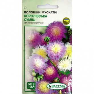Волошка Королівська, суміш забарвлень Seedera зображення 7