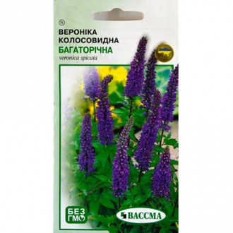 Вероніка колосовидна Seedera зображення 1