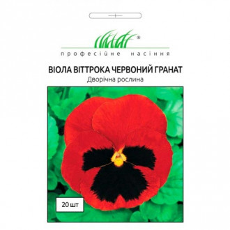 Віола Віттрока Червоний гранат Професійне насіння зображення 6
