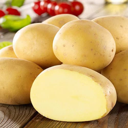Картопля Удача зображення 1 артикул 7814