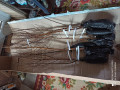 upload_img1