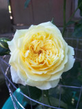 upload_img1