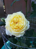 upload_img1