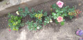 upload_img1