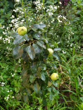 upload_img1