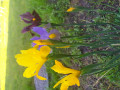 upload_img1