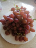 upload_img1