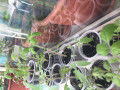 upload_img1