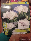 upload_img1