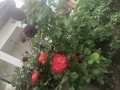 upload_img1