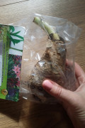 upload_img1