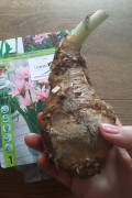 upload_img1