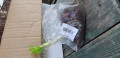 upload_img1