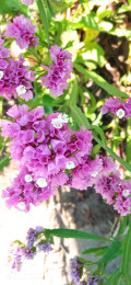 upload_img1