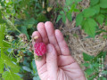 upload_img1