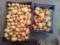 upload_img1