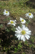 upload_img1